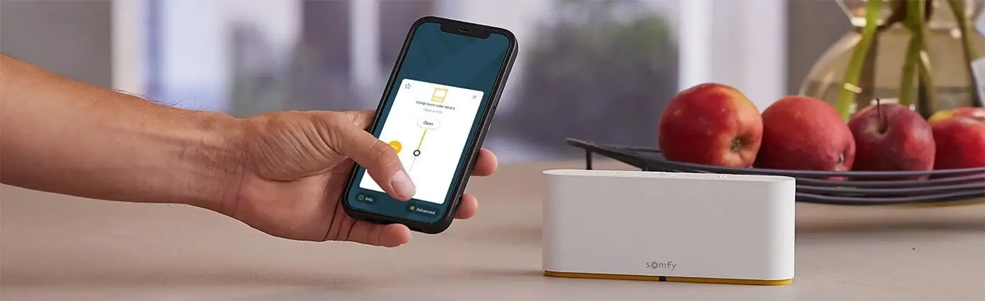 Commande TaHoma et application mobile