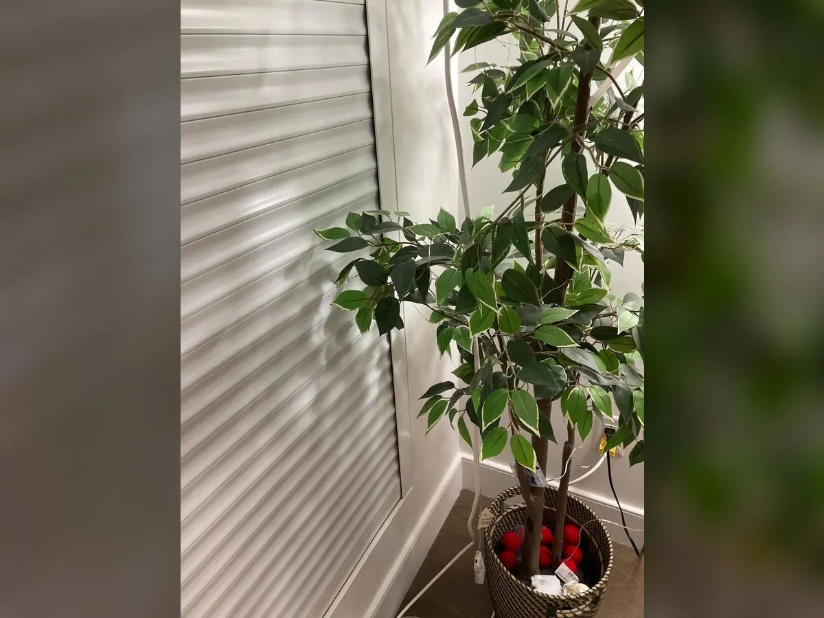 Interior shutter in a bright corner